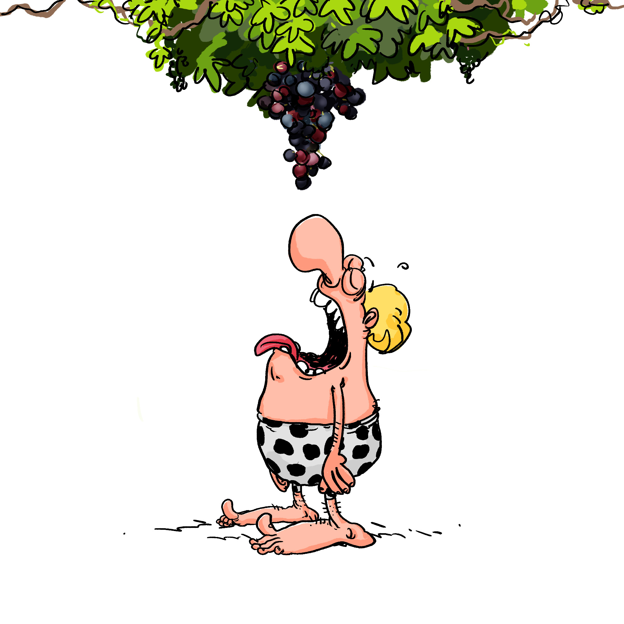 CRO attendant le raisin en grappe sous la treille CRO attendant le raisin en grappe sous la treille